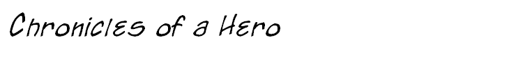Chronicles of a Hero